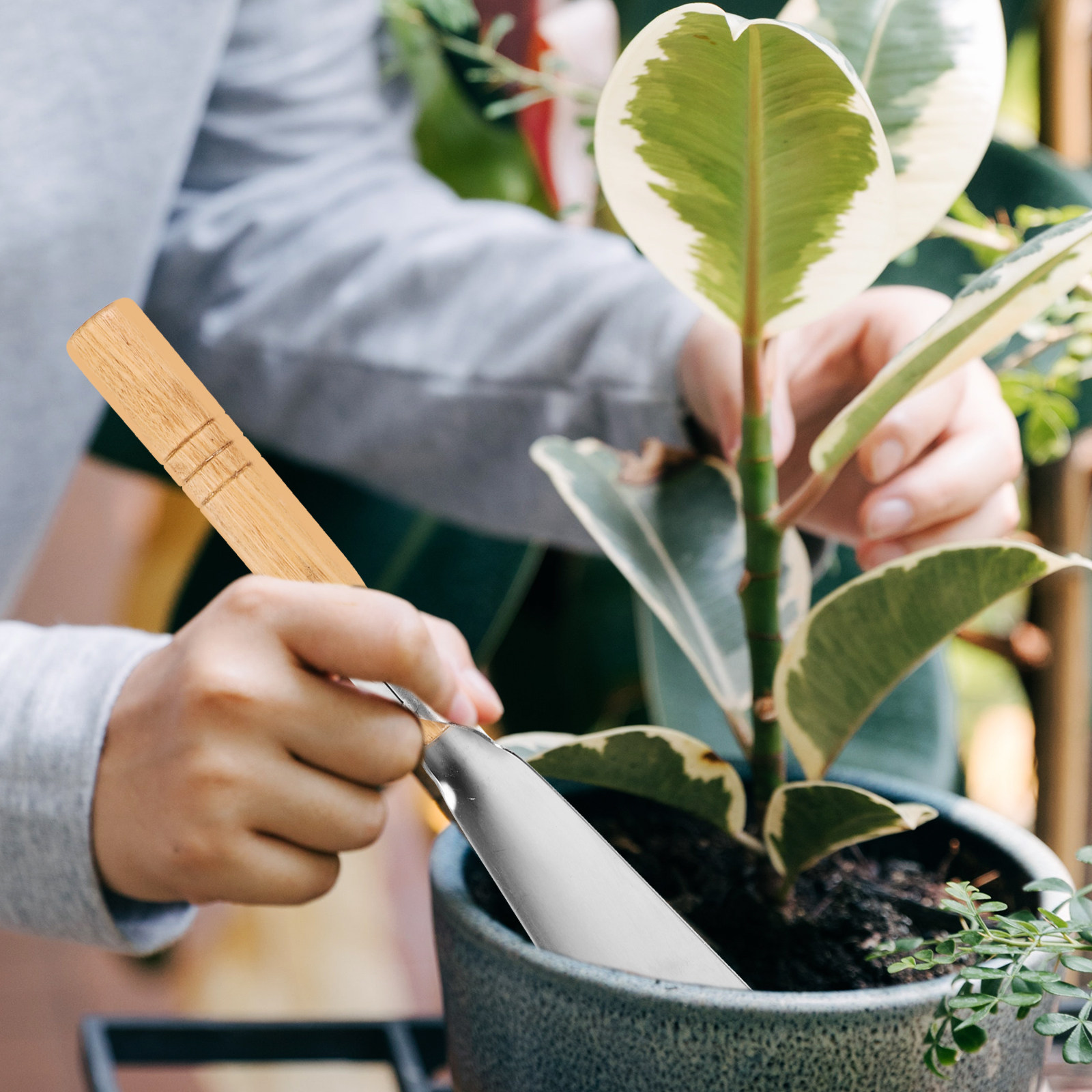 Edelstahl-Gartenschaufel mit N – Garden Hand Trowel Bewertung und Preis