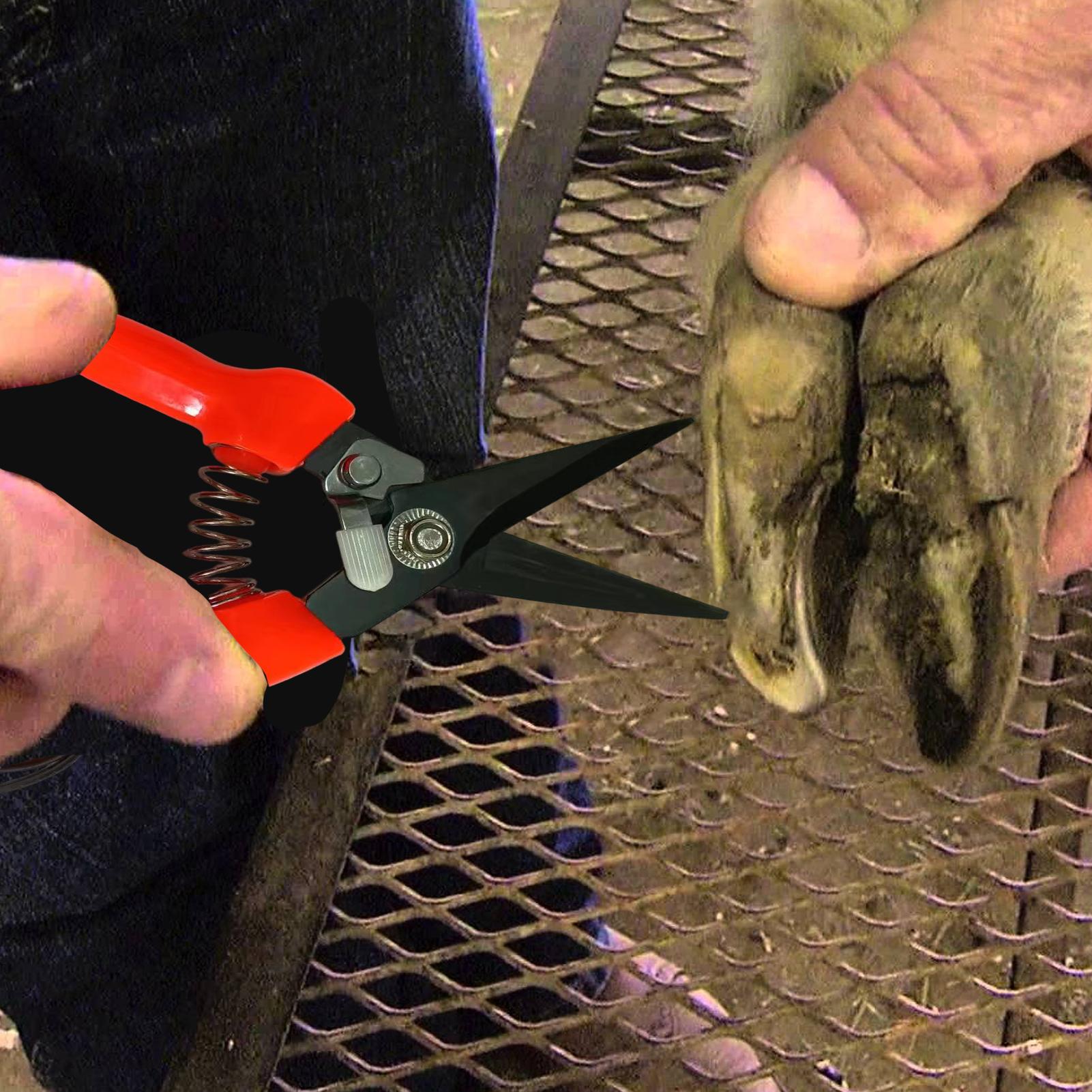 Schafhuf-Trimmer, Strauch- und – Garden Hand Trowel Bewertung und Preis