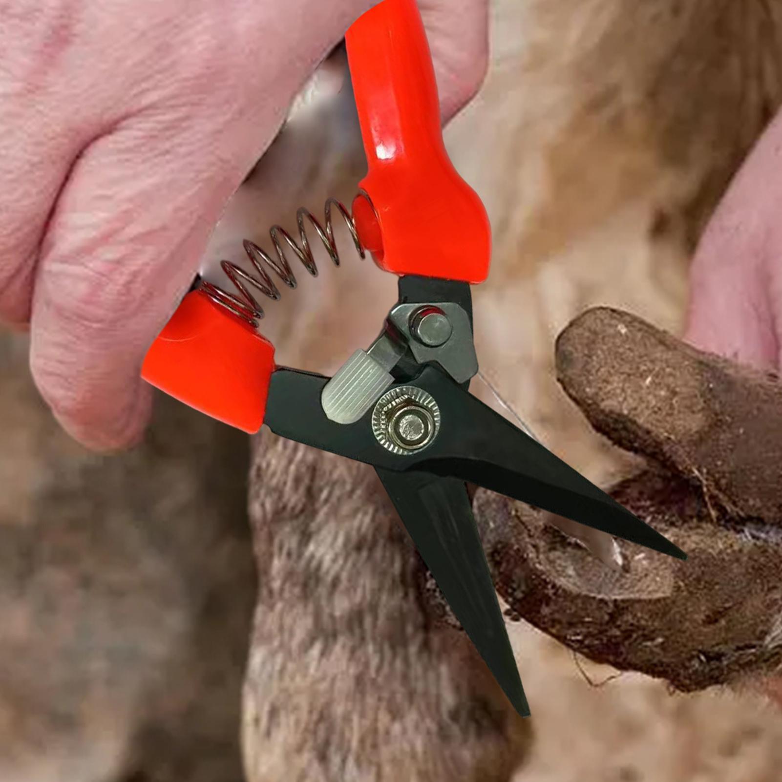 Schafhuf-Trimmer, Strauch- und – Garden Hand Trowel Bewertung und Preis