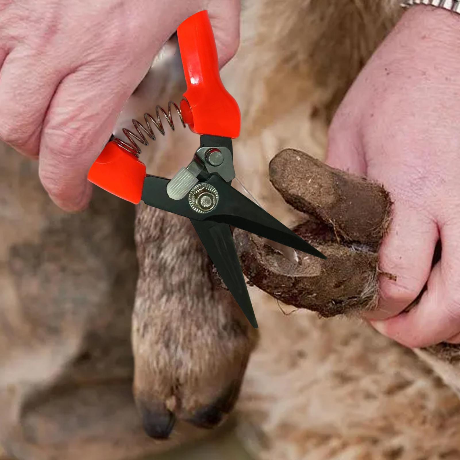 Schafhuf-Trimmer, Strauch- und – Garden Hand Trowel Bewertung und Preis