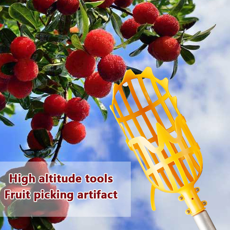 Picking Loquat Picking Bay ber – Gardening Tools Organizer Bewertung und Preis