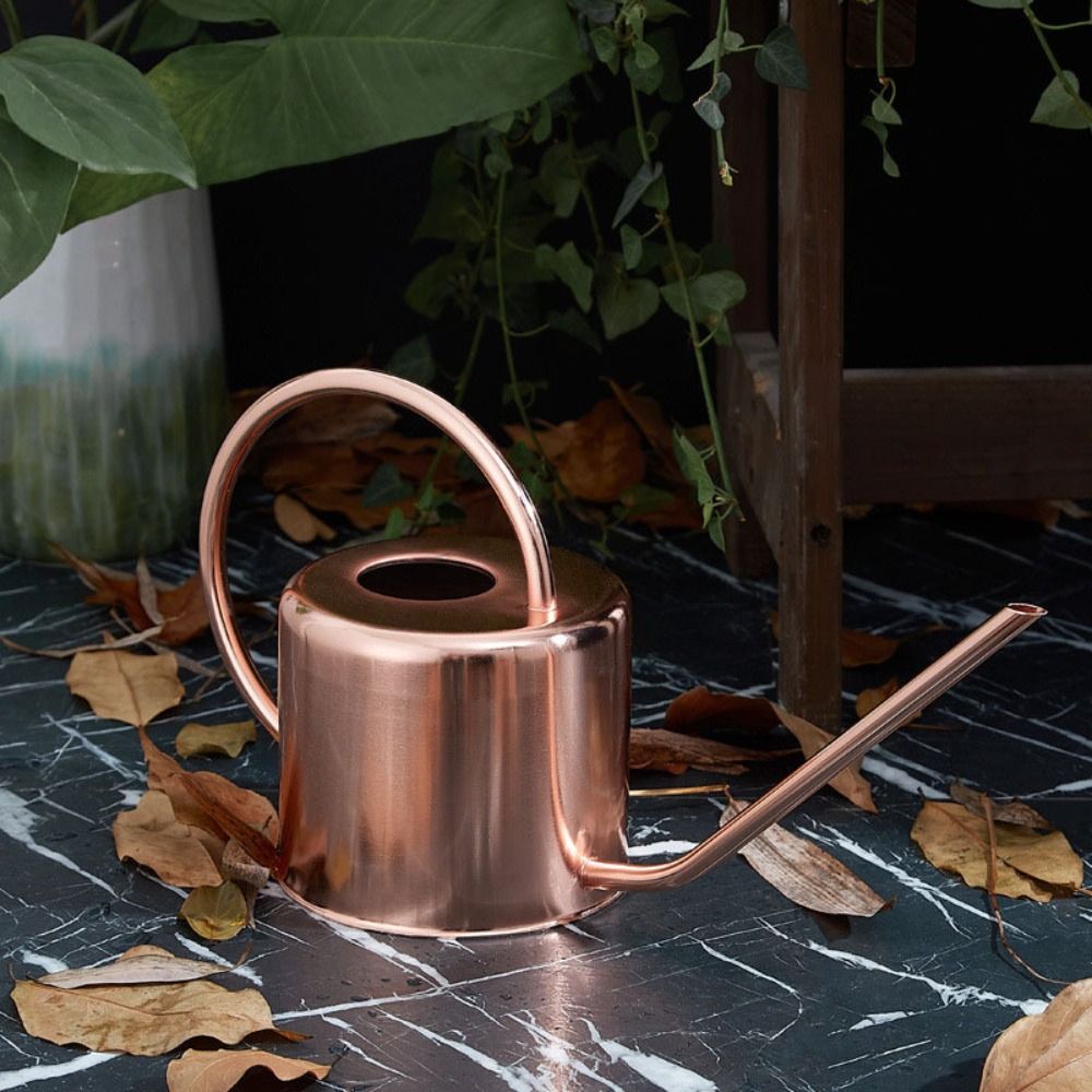1,3L Pflanzengießkanne aus Ede – Watering Can Long Spout Bewertung und Preis