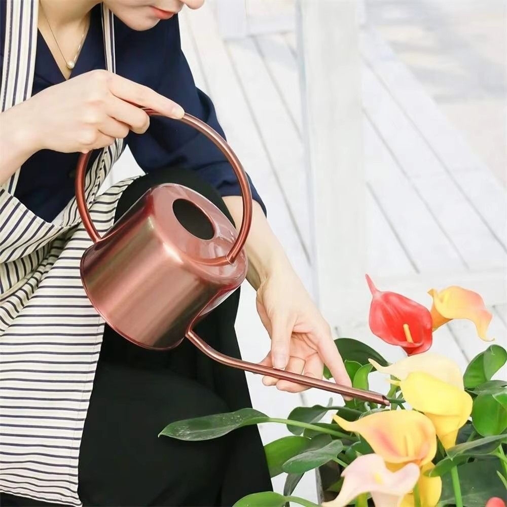 1,3L Pflanzengießkanne aus Ede – Watering Can Long Spout Bewertung und Preis