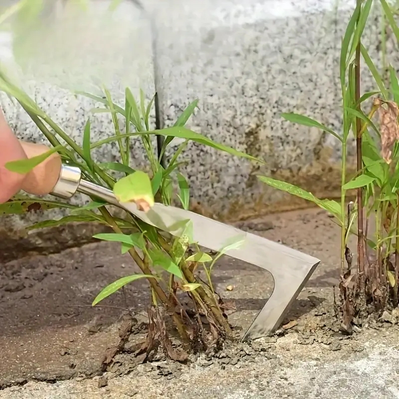Robuste Handschaufel aus Kohle – Gardening Tools Spade Bewertung und Preis