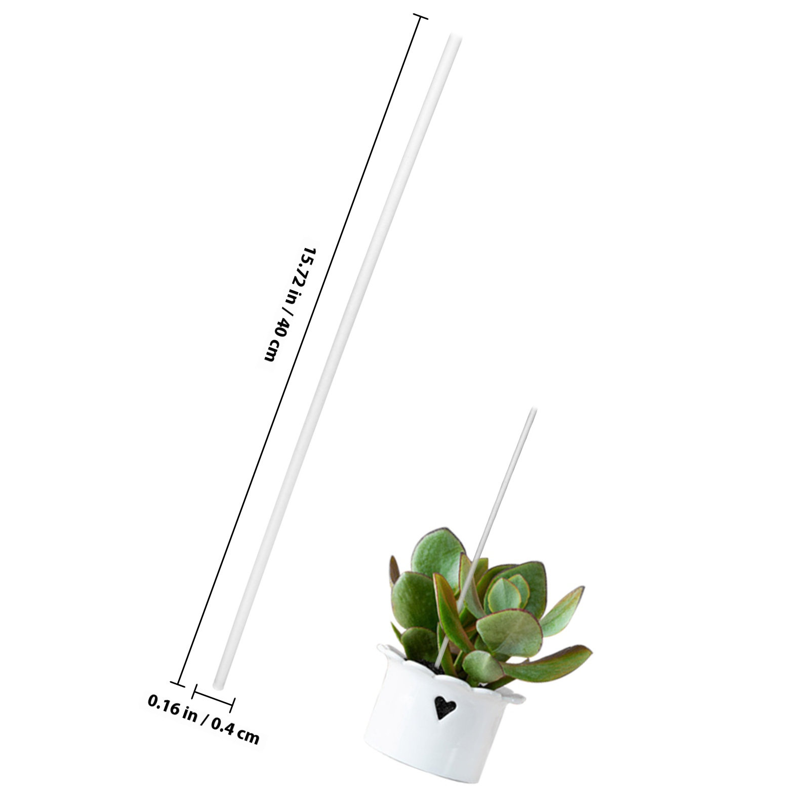 1 Set Transparente Acryl-Pflan – Gardening Tools Required Bewertung und Preis
