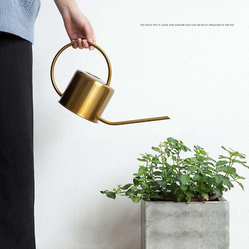 u Hochwertiger 1,3 l Pflanzens – Watering Can Long Spout Bewertung und Preis