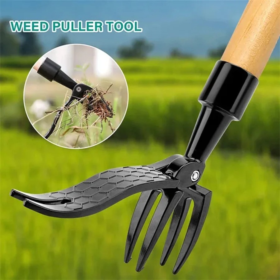 Stehender Unkrautstecher mit S – Grass Seed Spreader Bewertung und Preis