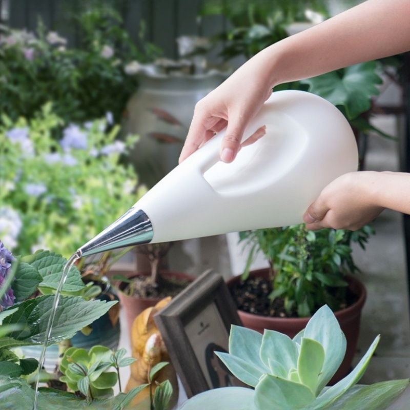 Langhalsige Gießkanne für Zimm – Watering Can Long Spout Bewertung und Preis