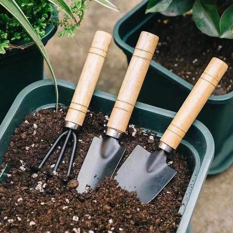 3PC/1Set Mini Gartengeräte Set – Gardening Tools Spade Bewertung und Preis