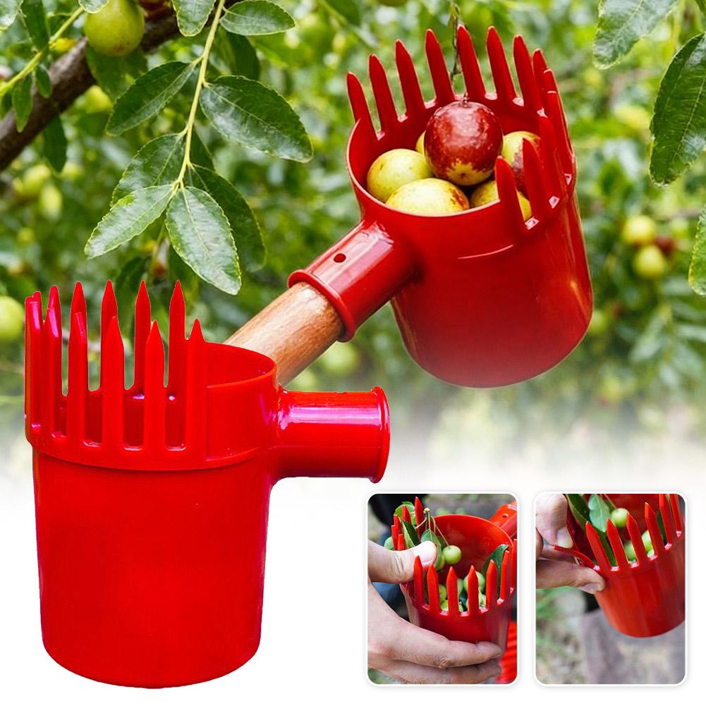 Obstpflücker-Werkzeug: Tragbar – Gardening Tools Organizer Bewertung und Preis