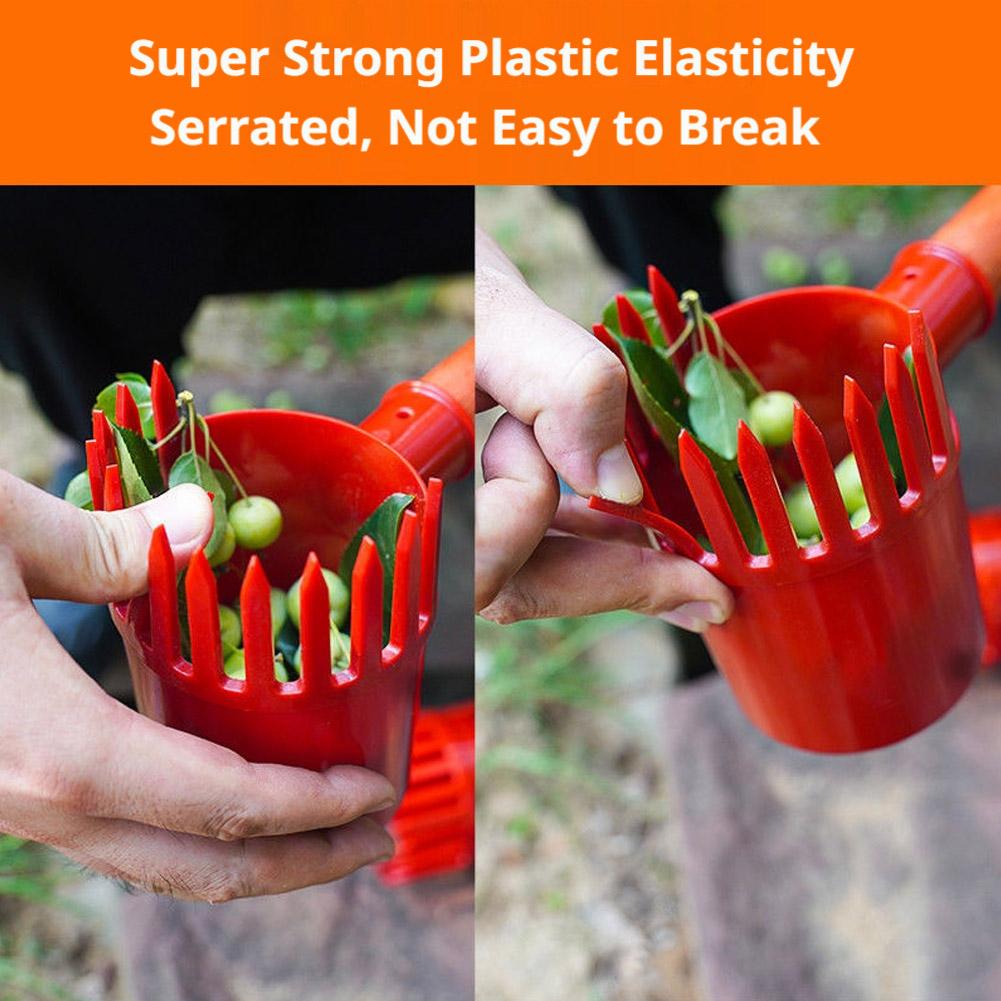 Obstpflücker-Werkzeug: Tragbar – Gardening Tools Organizer Bewertung und Preis