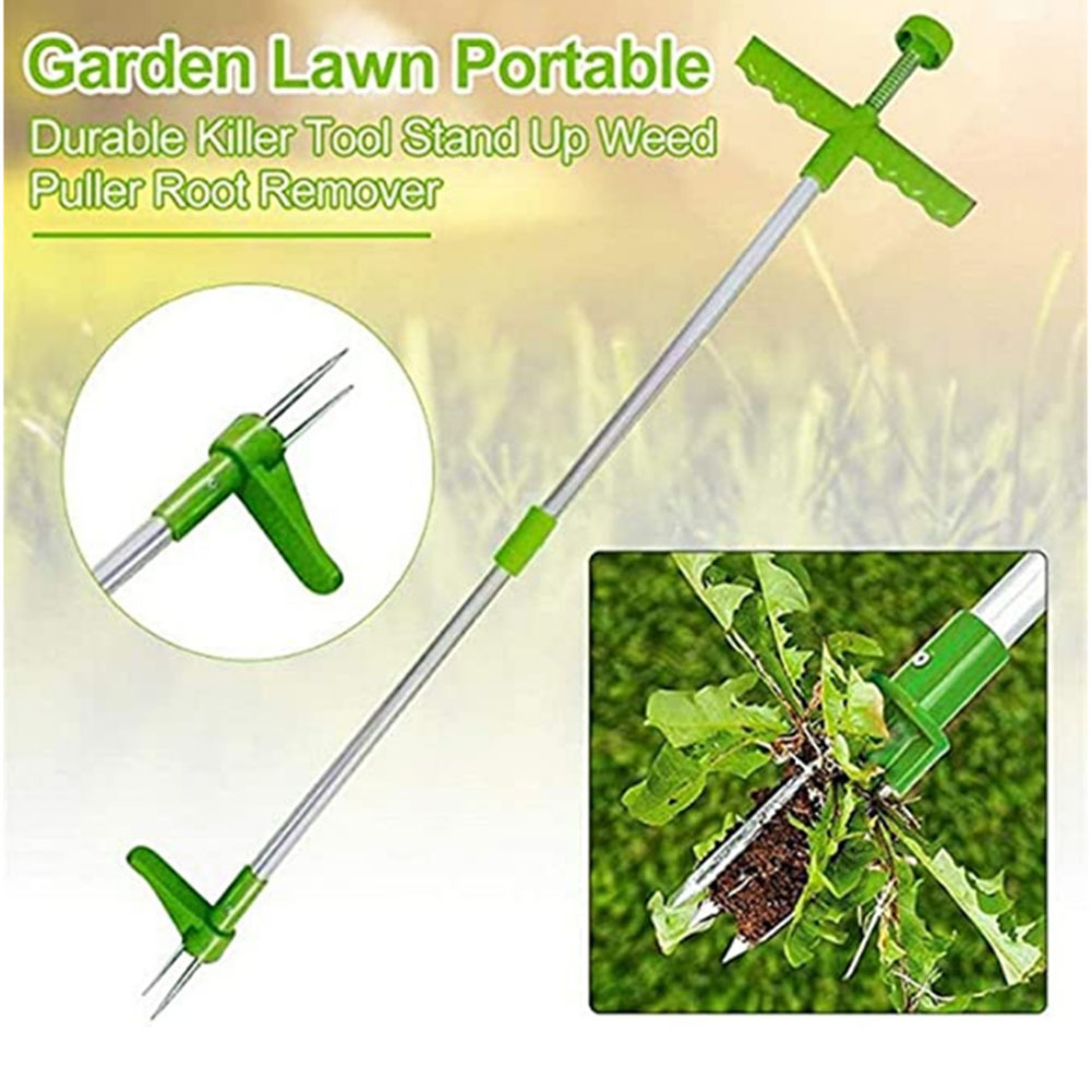 Manuelles, langlebiges Killer- – Grass Seed Spreader Bewertung und Preis