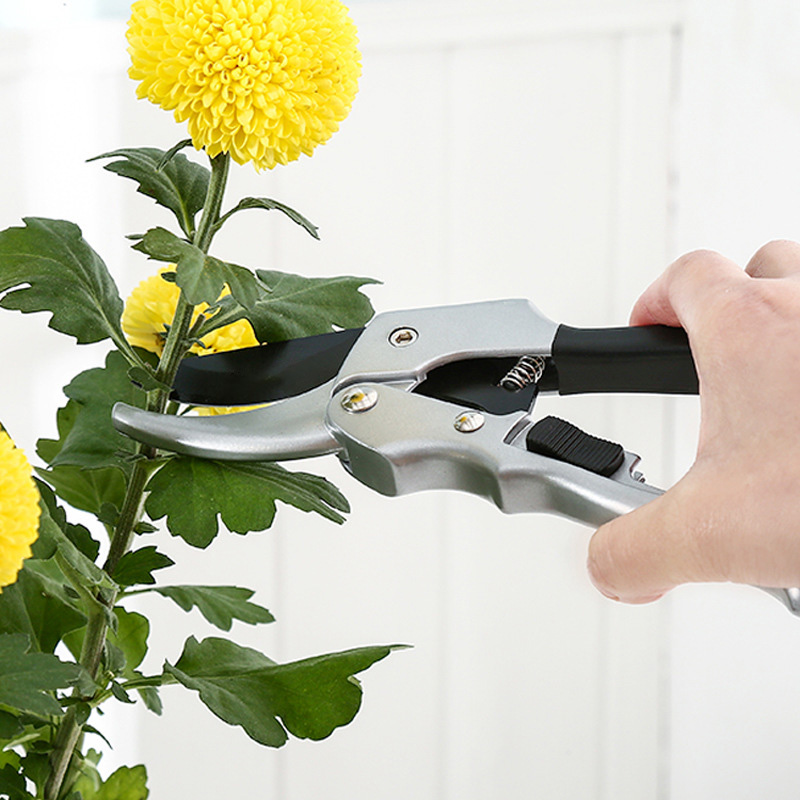 Neue 20 cm Ratsche Pflanzen Tr – Garden Hand Trowel Bewertung und Preis