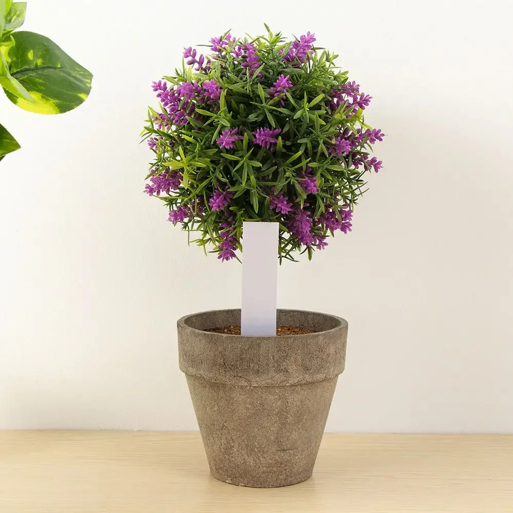 100 Stück wiederverwendbare Kl – Gardening Tools Labeled Bewertung und Preis