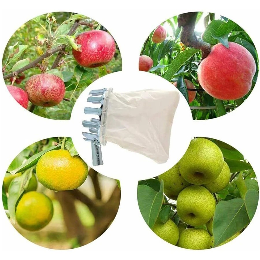 Professionelles Beerenpflückwe – Gardening Tools Organizer Bewertung und Preis