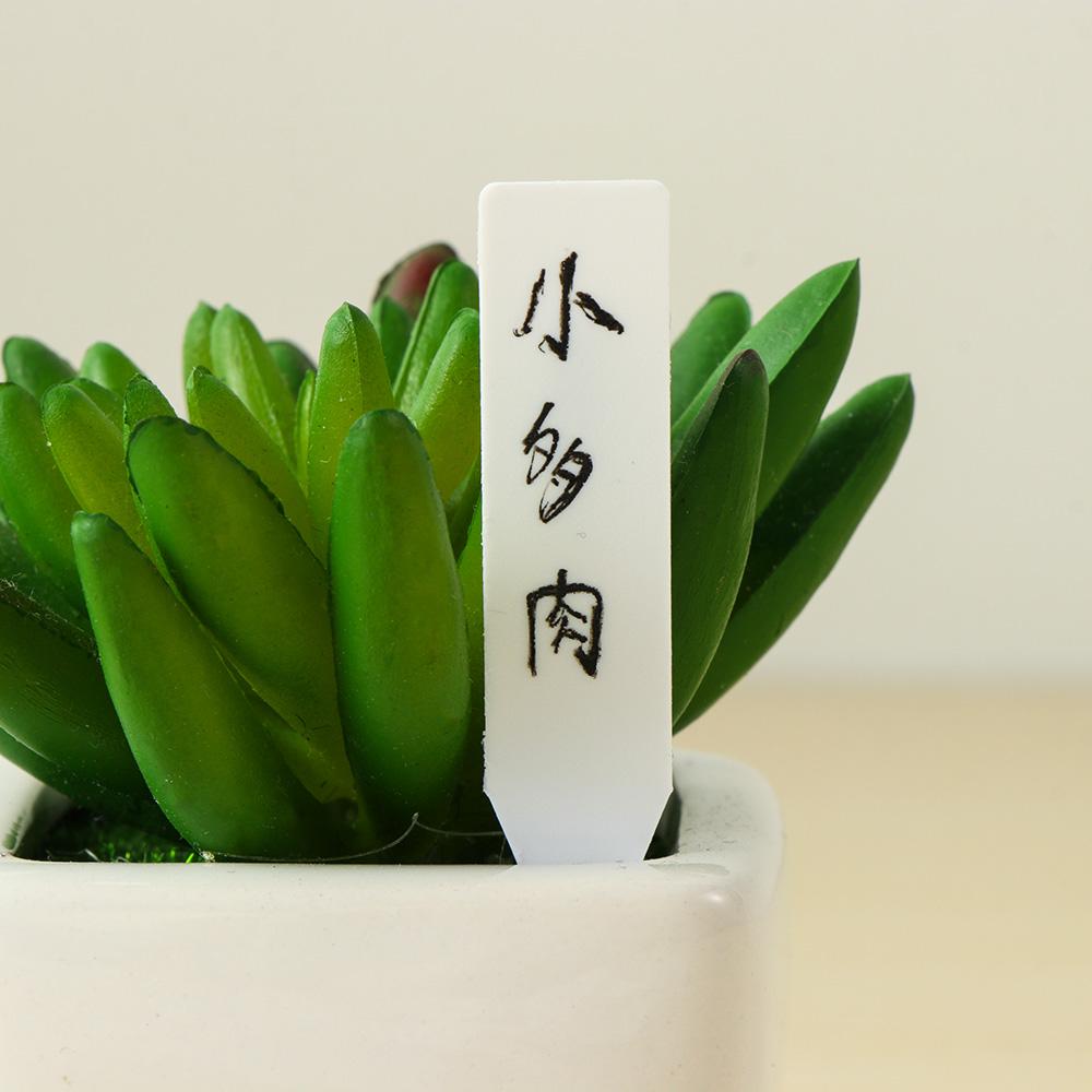 100 Stück wiederverwendbare, w – Gardening Tools Labeled Bewertung und Preis