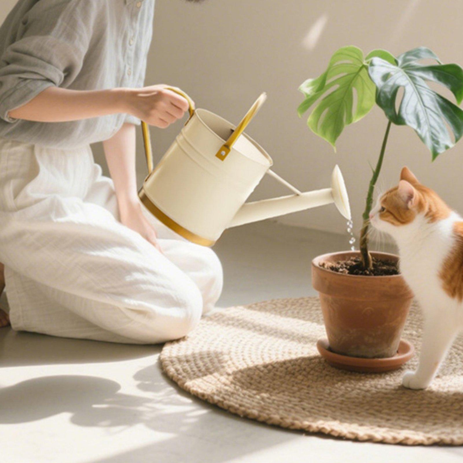 Gießkanne mit langem Ausguss,  – Watering Can Long Spout Bewertung und Preis
